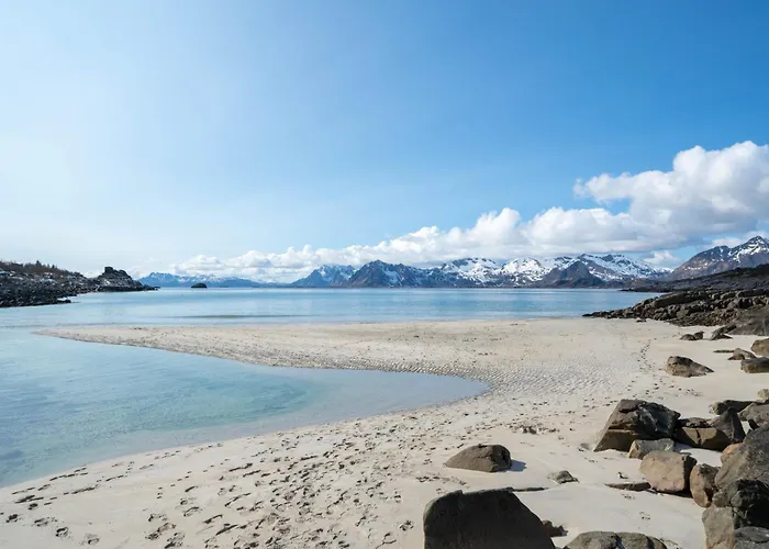 New! Spectacular Cabin In Lofoten