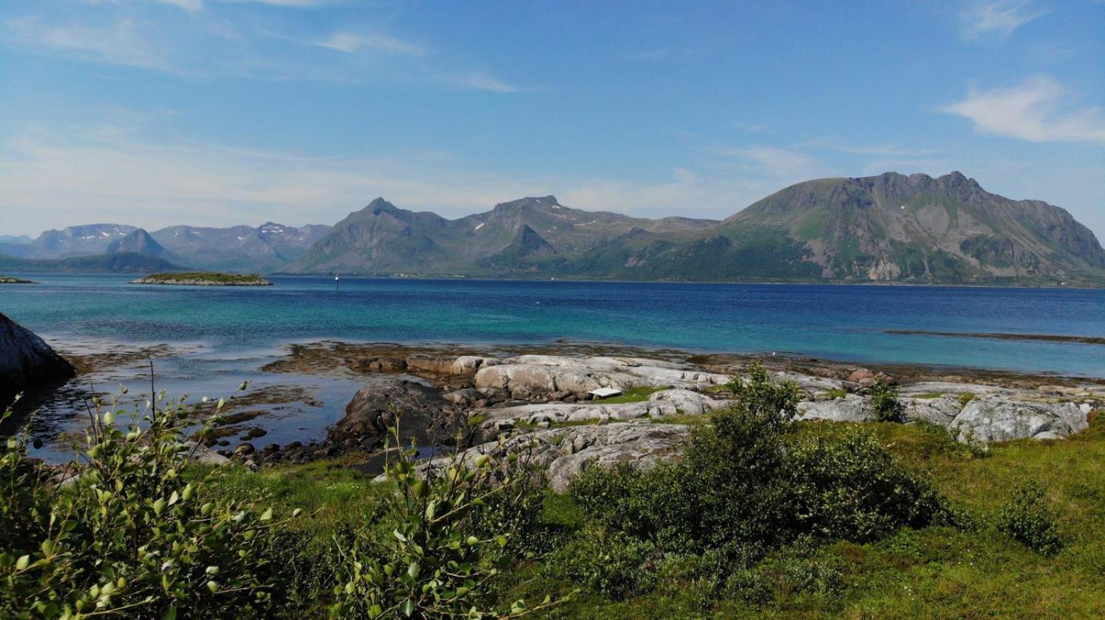 New! Spectacular In Lofoten Villa Kleppstad